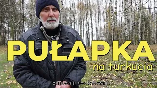 Jak zrobić pułapkę na turkucia?