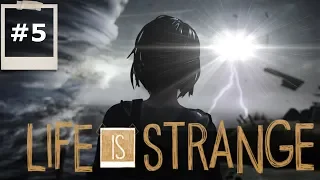 OSTATNIA AMBROTYPIA| Life Is Strange #5