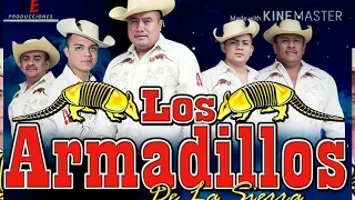 Los armadillos de la sierra mix