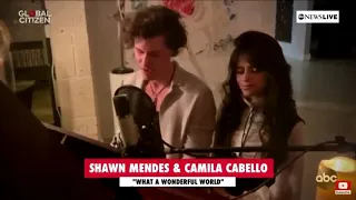 Shawn Mendes e Camila Cabello - What a wonderful world