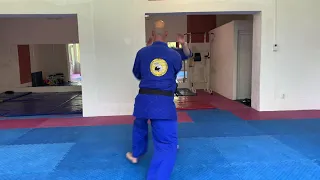 Igor Petrovic 7 DAN, Real Aikido