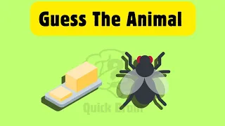 Guess The Animal By Emoji