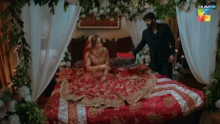 Aaj Suhaag Ki Nahi Hissab Ki Raat Hai..! #washmafatima #humayunashraf - Mere Damad - HUM TV