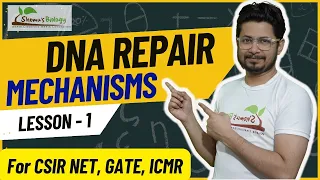 DNA repair mechanism | Nucleotide excision repair | Base excision repair | DNA mismatch repair