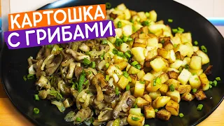 Жареная картошка с грибами вешенками! Быстрый рецепт хрустящей картошки.