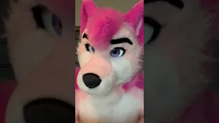 POV: You give a fursuiter a gift