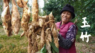 兒孫不在家，阿婆做一餐簡單玉竹湯，和貓貓狗狗的一天Grandma making traditional Yuzhu soup for her grandchildren｜广西 美食 ｜玉林阿婆