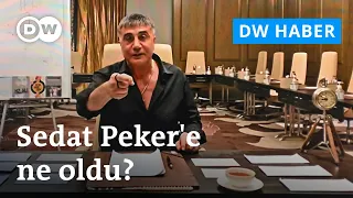 Sedat Peker iki kırmızı bülten sonrası dönüyor mu? | Avukatı yanıt verdi