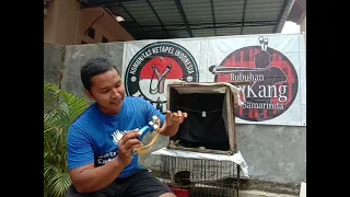 Belajar main Ketapel