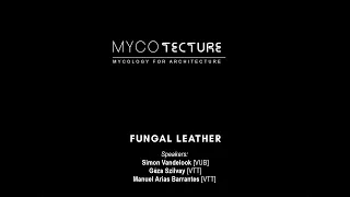 Mycology for Architecture: Fungal Leather