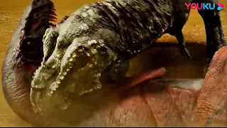 Two Tyrannosaurus rexes brutally is tearing each other apart| Jurassic Revival | YOUKU MONSTER MOVIE