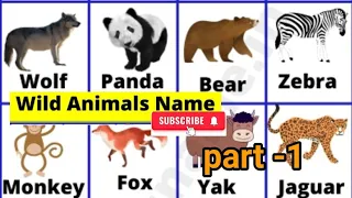 Animals name // Animals name in English // Animals name in English vocabulary !