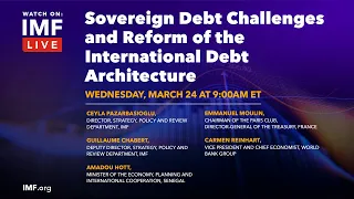 Sovereign Debt Challenges and Reform of the International Debt Architecture
