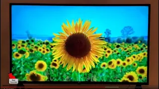 LG UN7300 AI ThinQ 4K Smart TV Review (2020)