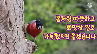 봄 풍경 2