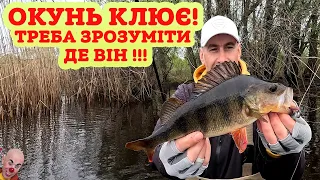 ✅ ОКУНЬ КЛЮЄ ПРЯМО ПІД НОГАМИ ✅