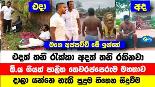 මම අප්පච්චිව තනි කරන්නෙ නෑ | පාලිත තෙවරප්පෙරුමගේ ආරක්ෂක තරුණයාගේ පුදුම හිතෙන සිදුවීම | News