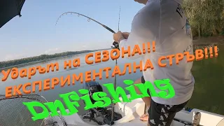 Див Дунавски ШАРАН на ЧЕСЪН!!! Аttack of the season! Wild carp fishing!