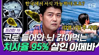 [#고농축재미] (1시간) 코로 들어가면 치사율 95%💥 인간의 뇌를 파먹는 아메바의 극한 위험성! 아직 밝혀지지 않은 의학 미스터리🙊 | #디글 #프리한19