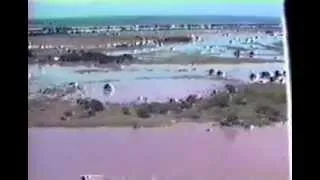 Cheia 1983   Rio Paranapanema