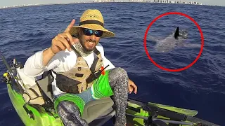 6 Shark Encounters Way Too Scary To Handle