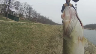 Catching Giant Bass In Ponds!!!(Breaking My PB)