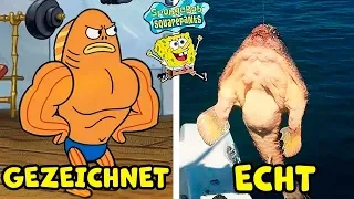 8 Spongebob Schwammkopf Charaktere im echten Leben!