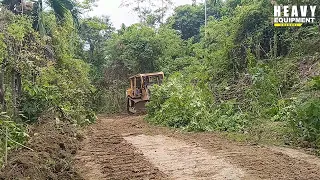 Excellent work of Caterpillar D6R XL bulldozer operators working to clean plantation roads
