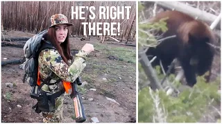 Nicole's Spring Black Bear Hunt Spot and Stalk