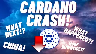 Cardano ADA Crash!? DON'T PANIC! What Happened?! What's Next?! More Downside To Come?! HODL