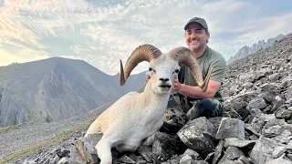 Dall Sheep, NWT Mackenzie Mountains