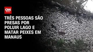 Três pessoas são presas por poluir lago e matar peixes em Manaus (AM) | AGORA CNN