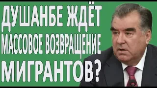 ПАТЕНТ для мигрантов таджиков в России 2020: лайфхаки жизни