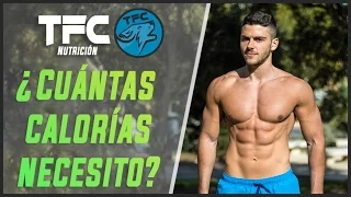 CÓMO CALCULAR LAS CALORÍAS QUE NECESITAS | The Fit Club