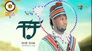 workeaferahu kebede ወርቅአፈራው ከበደ cha cha ( ቻቻ ) new ethiopian hadiya music