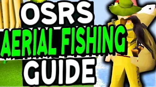 The Ultimate Aerial Fishing Guide Old School Runescape