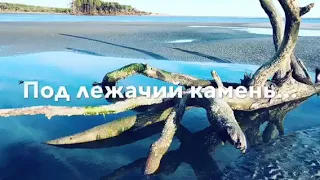 Стихотворение Под Лежачий Камень Не Течёт Вода...(Автор Анна Юркин@)