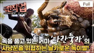 [Full] 극한직업 - 캄보디아 - 독충을 잡는 사람들