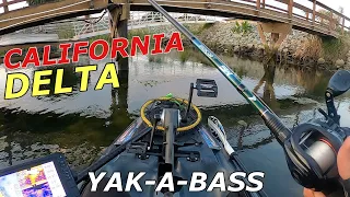 California Delta Kayak Bass Tournament | YAK-A-BASS (Day 2)