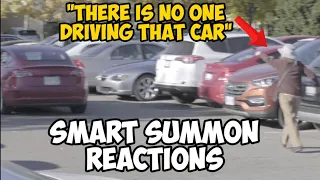 Best Tesla Smart Summon Reaction