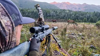 Ambush Hunting a Mountain Valley (with Electric Bikes)