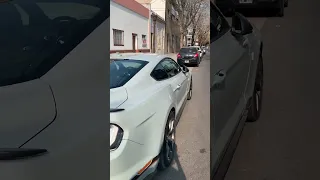 Ford Mustang Mach 1 en Argentina! 1/3