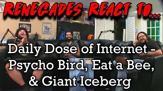 Renegades React to... @DailyDoseOfInternet - Psycho Bird, Eat a Bee, & Giant Iceberg