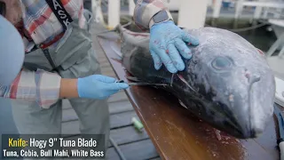 How To Fillet & Clean Bluefin Tuna
