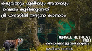 Jungle Retreat Wayanad കടുവയെയും പുലിയെയും കൺമുന്നിൽ കാണാം, forest stay in Wayanad, wildlife