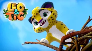 Leo and Tig 🦁 Best episodes 🐯 Funny Family Good Animated Cartoon for Kids