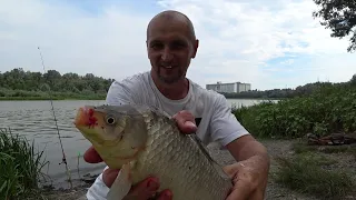 Рыбалка на Дону в Ростовской области Август . РЫБАЛКА НА ДОНКИ НА КАРАСЯ С НОЧЁВКОЙ.