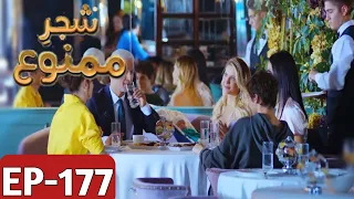 Shajar-e-Mamnu Episode 177 Promo | Turkish Drama | Forbidden Fruit | UrduDubb| 12Aug 2021 |P-5