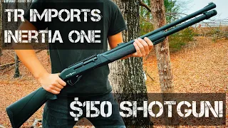 TR Imports (Silver Eagle) Inertia One - Review [Best Budget Shotgun?]