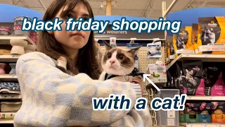 black friday shopping with my cat + cat supplies haul